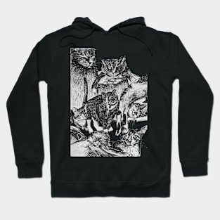 A collection of Cats Hoodie